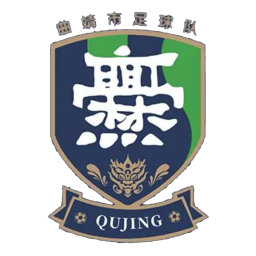 大理队